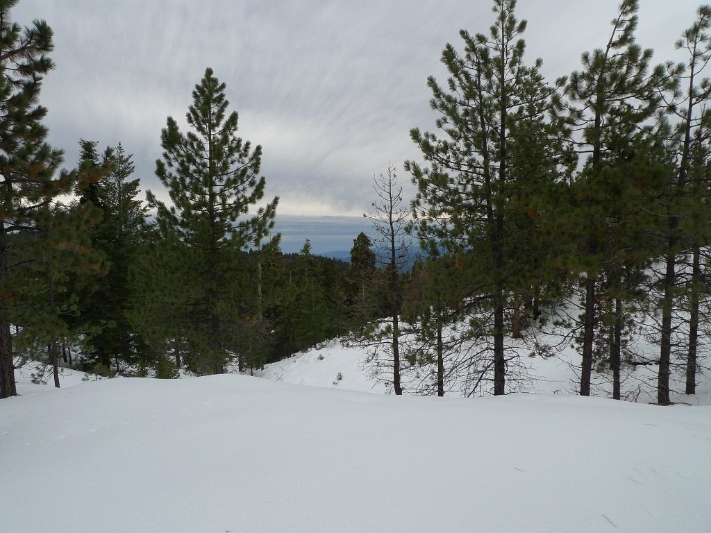 Christmas2010 117.JPG